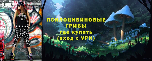 гидропоника Приозерск