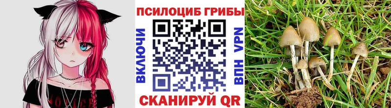 Галлюциногенные грибы Psilocybe Сим